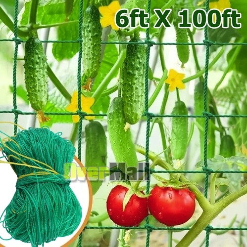 6x100ft mesh plant trellis net - plant,